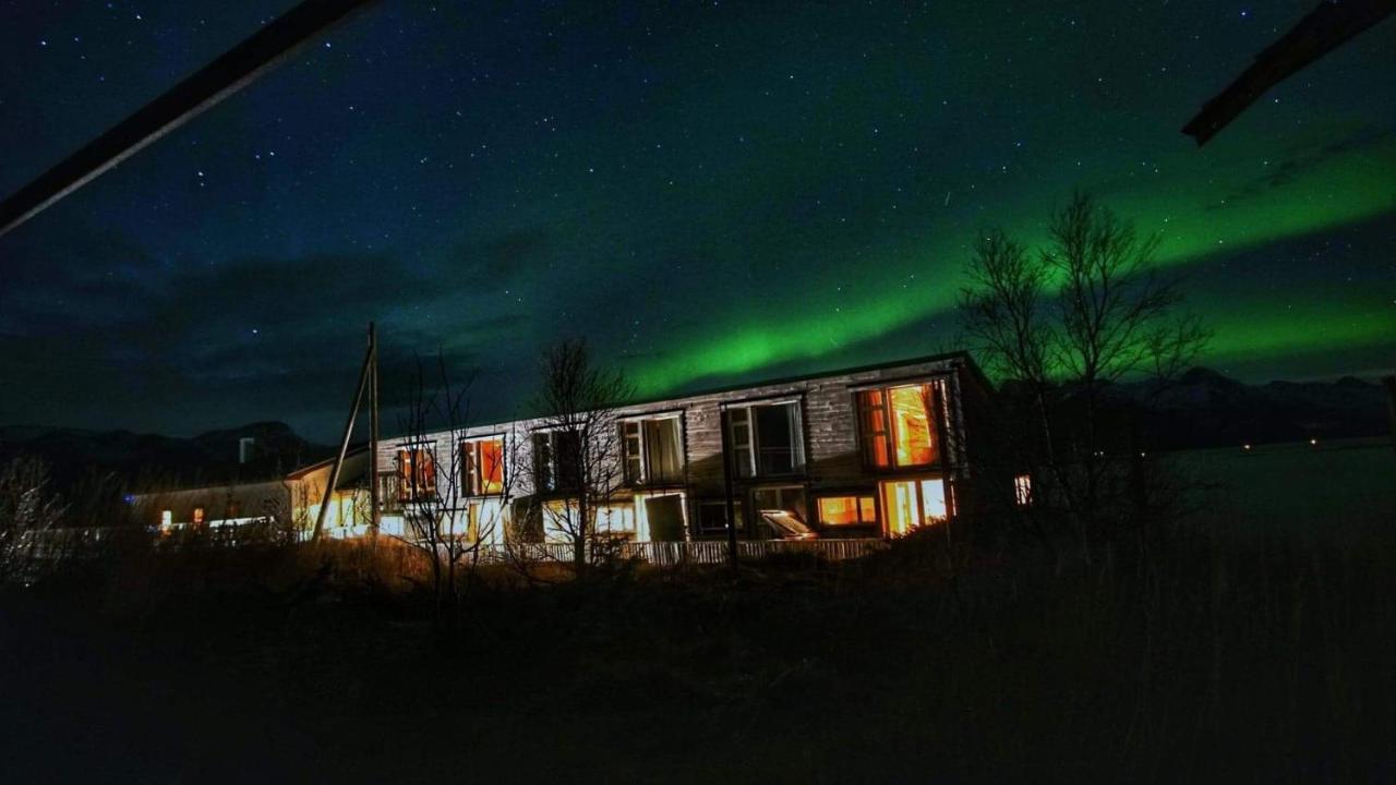 Digermulen Risvaer Brygger Bed & Breakfast エクステリア 写真