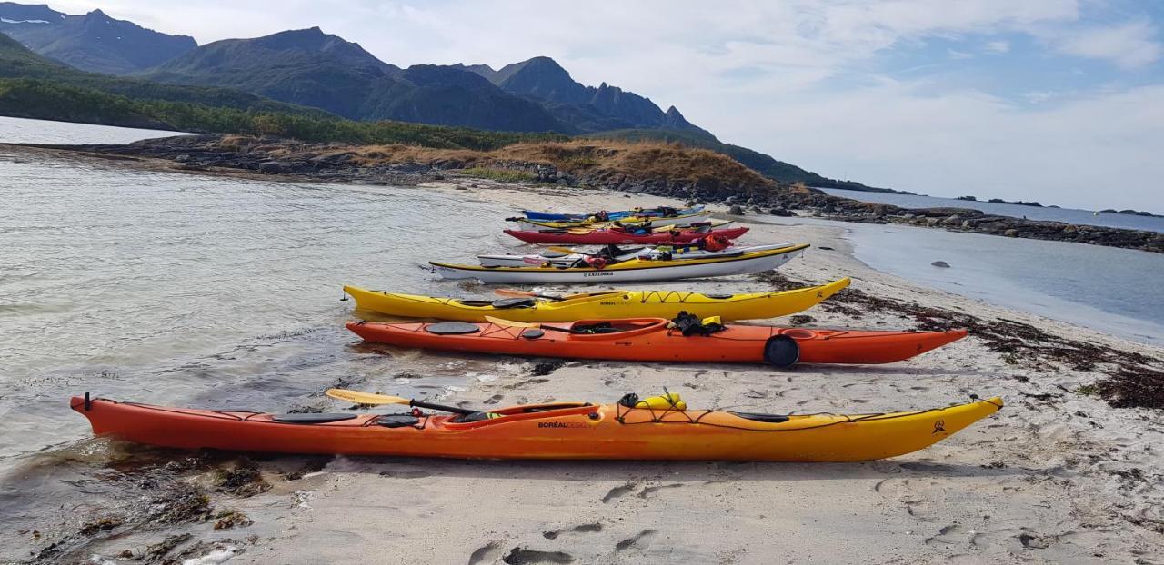 Digermulen Risvaer Brygger Bed & Breakfast エクステリア 写真